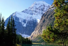 “电力爱心超市” 进村入户 志愿服务暖民心