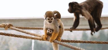 资阳成渝异地就医“免备案直接结算”政策落地，惠及300万群众