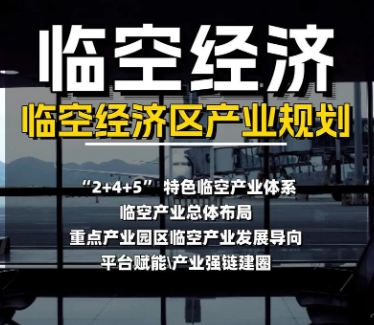 资阳临空经济区产业发展势头强劲，成为经济增长新引擎