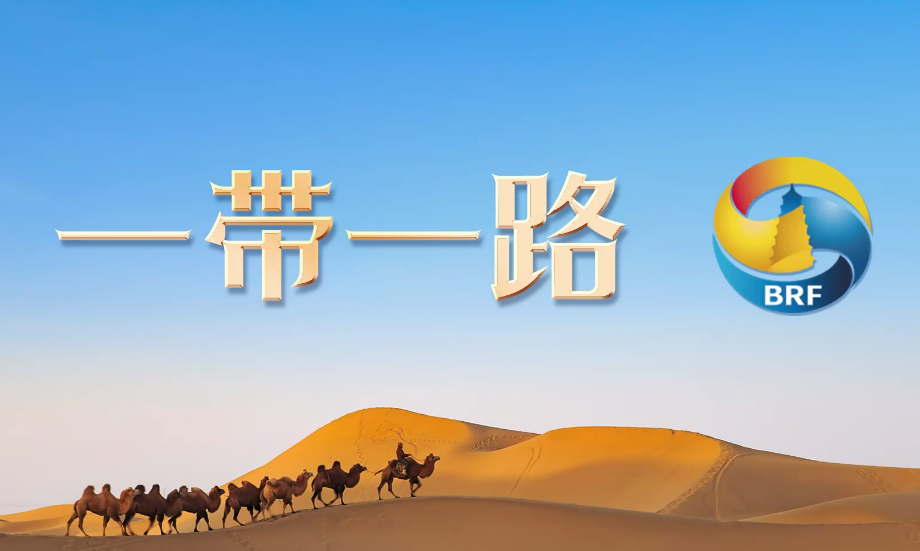 资阳企业积极拓展海外市场，产品远销 “一带一路” 国家